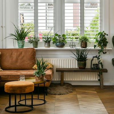 Shutters